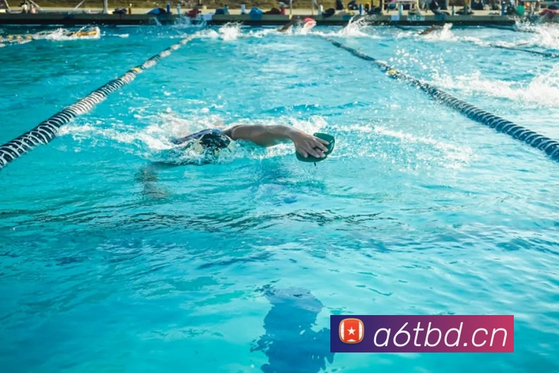 多媒体互动体验